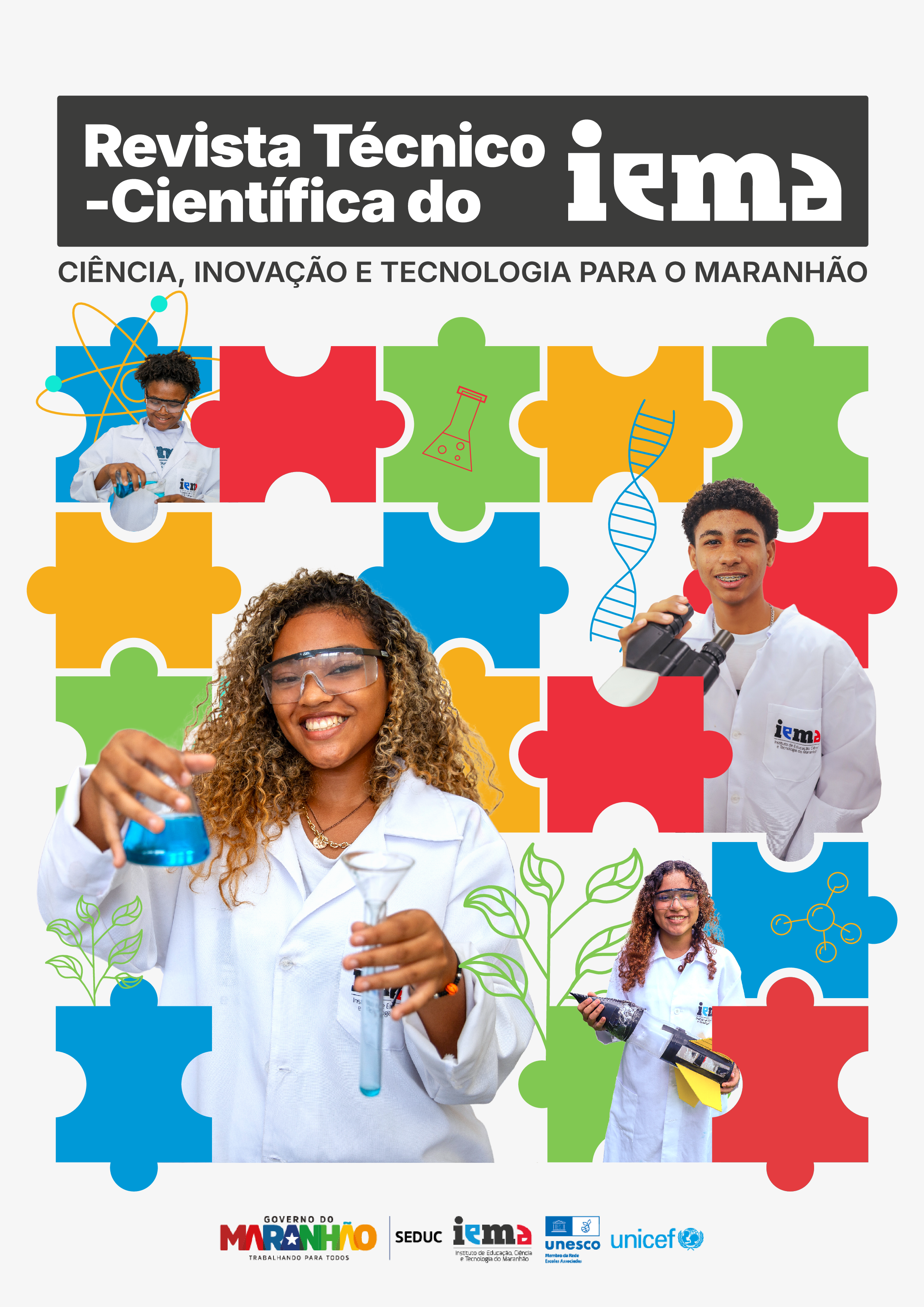 					Visualizar v. 1 n. 1 (2025): Revista Técnico - Científica do IEMA 
				